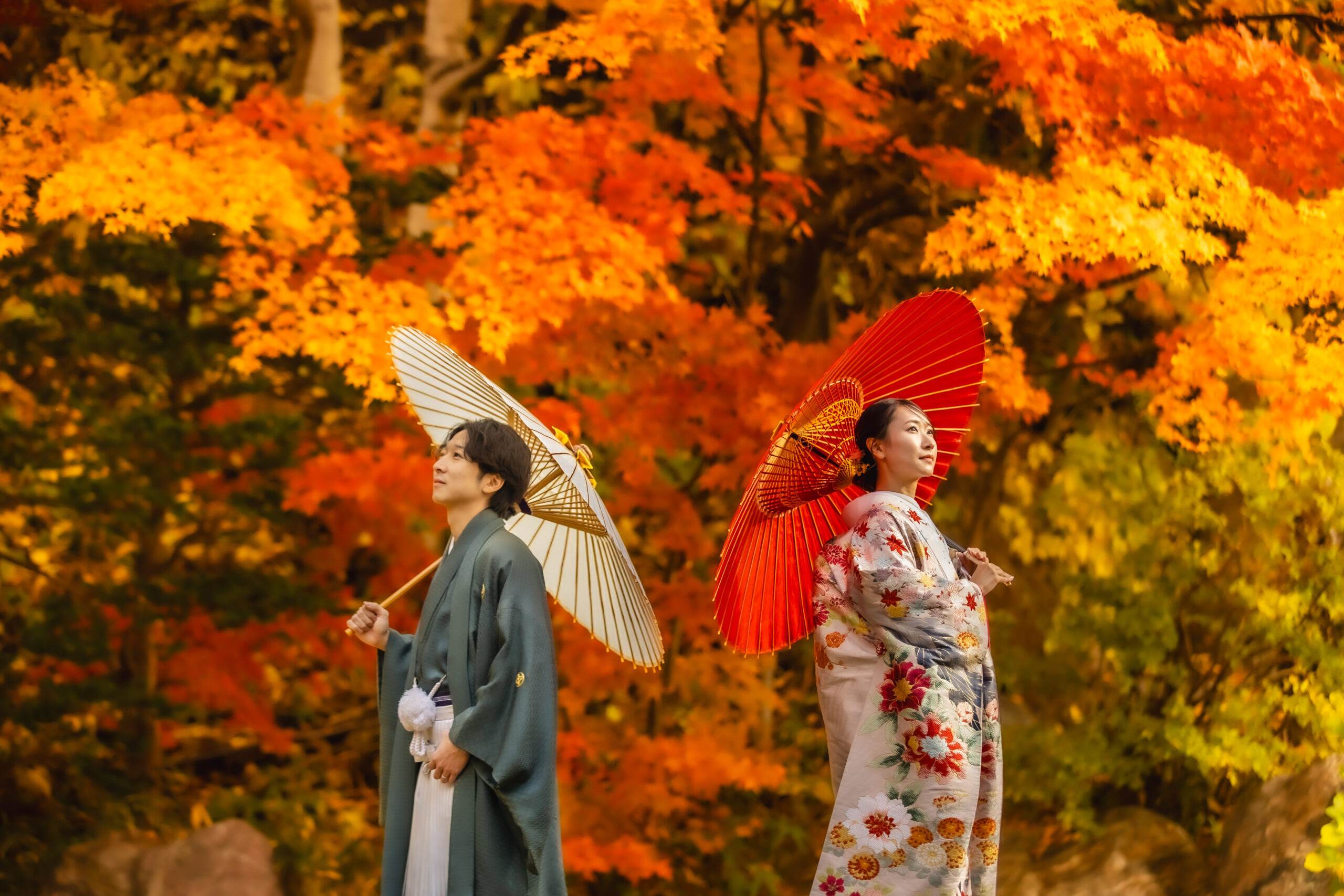 秋の紅葉フォト